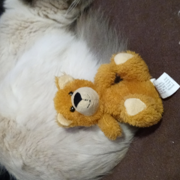 AVAILABLE - Russell Stove Small Teddy Bear 5" Tall - Picture 3 of 5